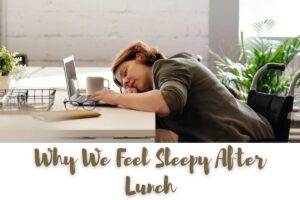 Why we feel sleepy after lunch